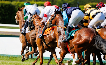 HorseRacing-408x252