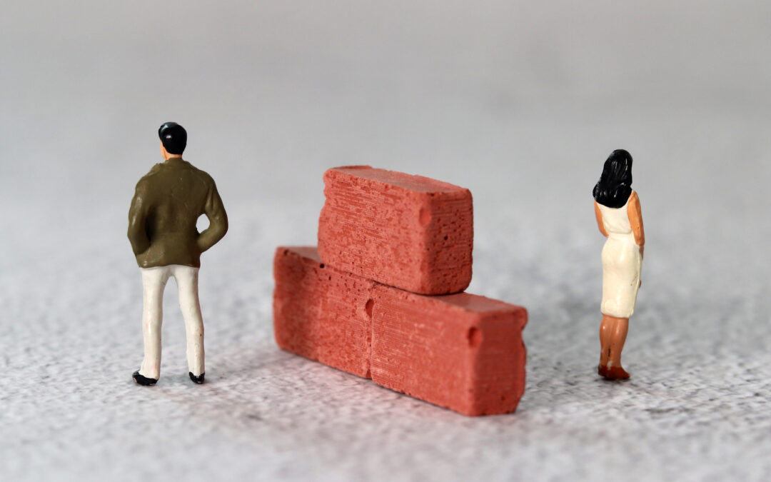 Myth Busters Part 4: “My partner would never disinherit my children”