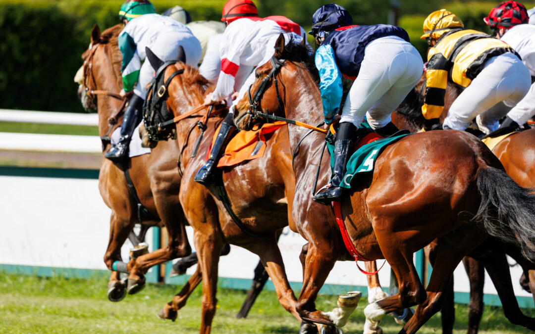 Affordabilty checks: Signposting the gambling black market